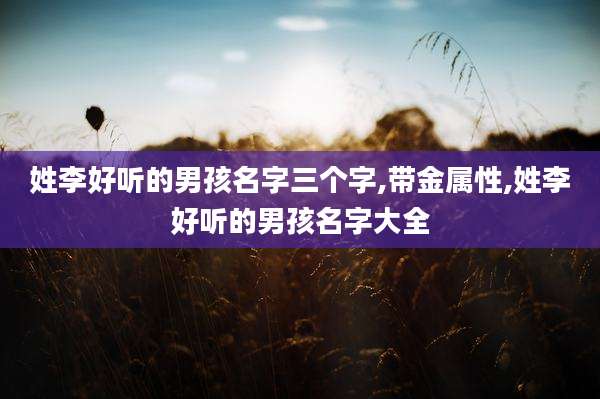姓李好听的男孩名字三个字,带金属性,姓李好听的男孩名字大全