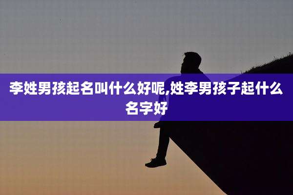 李姓男孩起名叫什么好呢,姓李男孩子起什么名字好