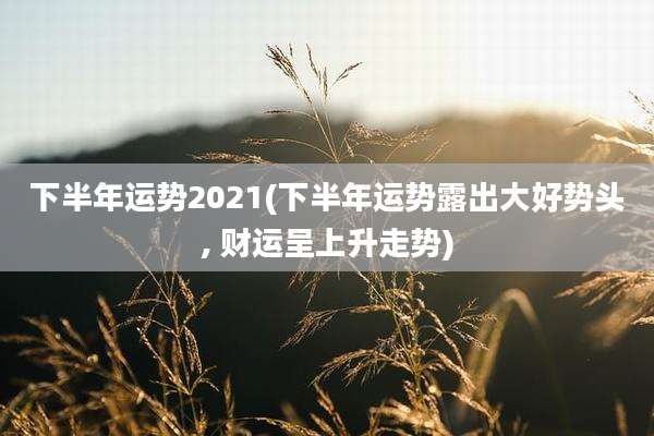 下半年运势2021(下半年运势露出大好势头, 财运呈上升走势)