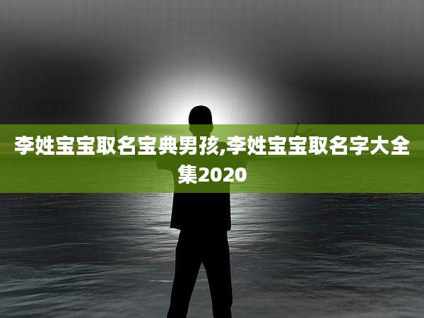 李姓宝宝取名宝典男孩,李姓宝宝取名字大全集2020