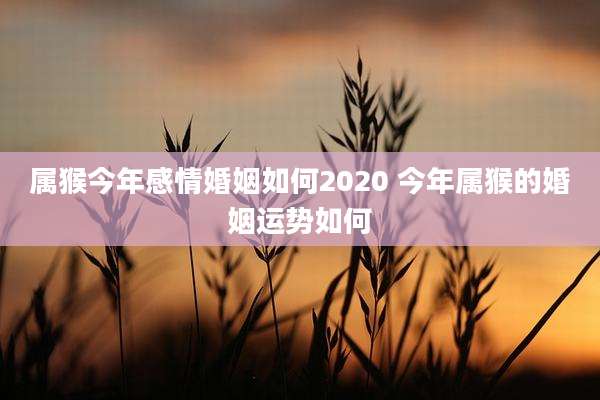 属猴今年感情婚姻如何2020 今年属猴的婚姻运势如何