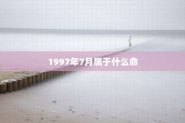 1997年7月属于什么命