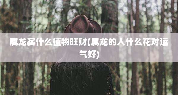 属龙买什么植物旺财(属龙的人什么花对运气好)