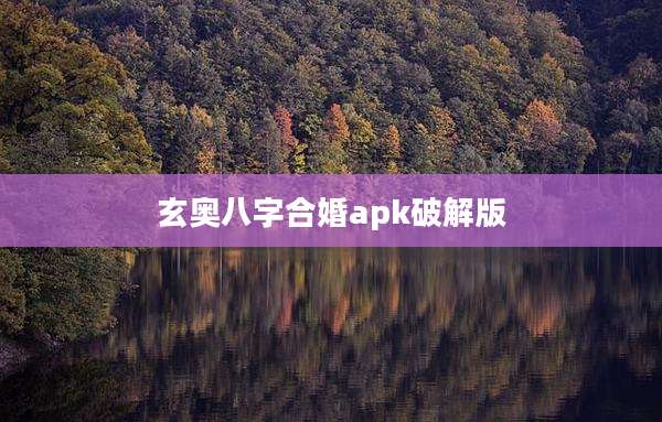 玄奥八字合婚apk破解版