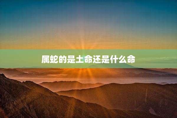 属蛇的是土命还是什么命