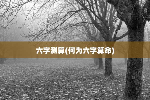 六字测算(何为六字算命)