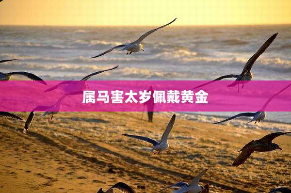 属马害太岁佩戴黄金