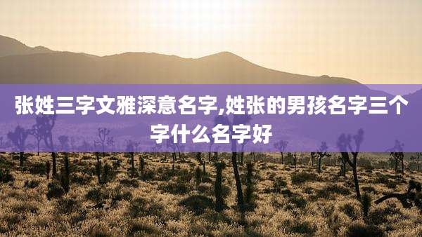 张姓三字文雅深意名字,姓张的男孩名字三个字什么名字好