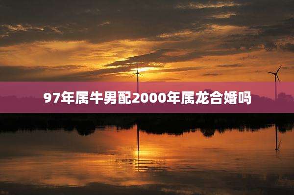 97年属牛男配2000年属龙合婚吗