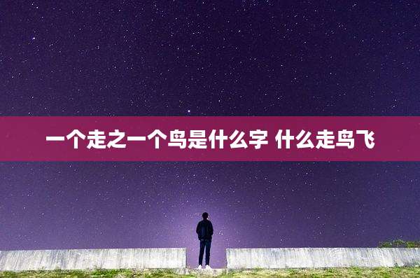 一个走之一个鸟是什么字 什么走鸟飞