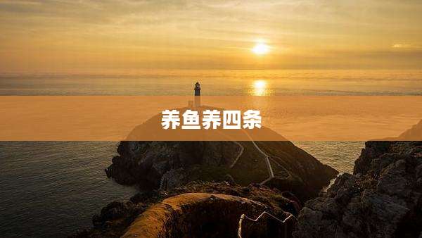 养鱼养四条