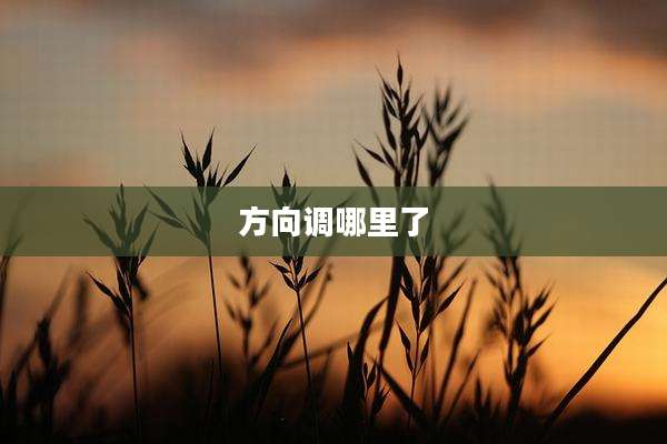 方向调哪里了