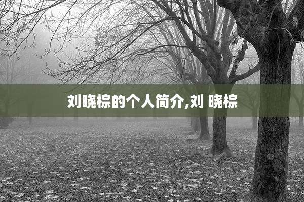 刘晓棕的个人简介,刘 晓棕