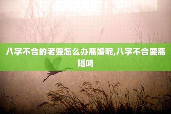 八字不合的老婆怎么办离婚呢,八字不合要离婚吗