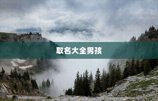 取名大全男孩