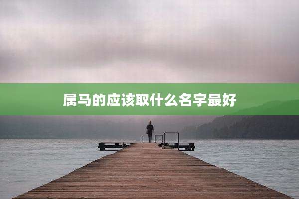 属马的应该取什么名字最好