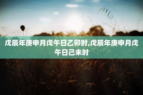 戊辰年庚申月戊午日乙卯时,戊辰年庚申月戊午日己未时