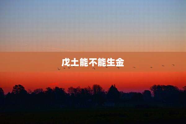 戊土能不能生金