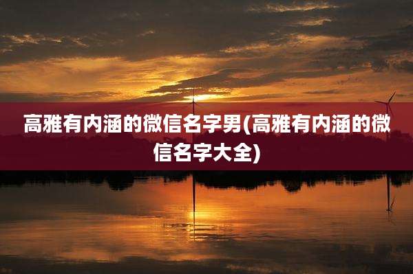 高雅有内涵的微信名字男(高雅有内涵的微信名字大全)