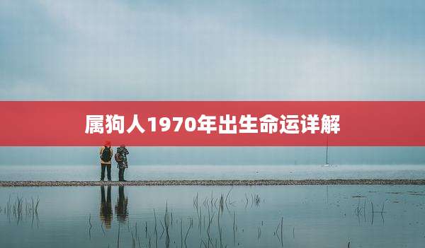 属狗人1970年出生命运详解