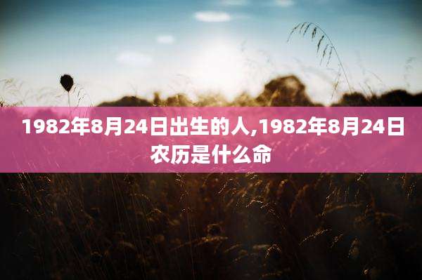 1982年8月24日出生的人,1982年8月24日农历是什么命