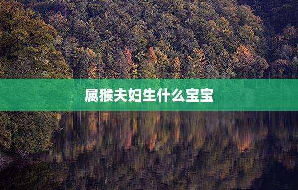属猴夫妇生什么宝宝