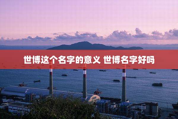 世博这个名字的意义 世博名字好吗