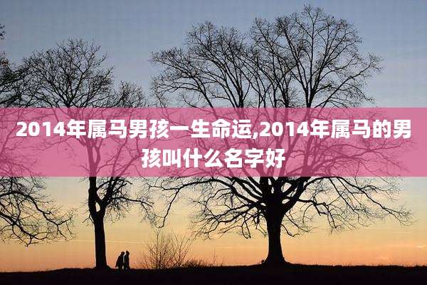 2014年属马男孩一生命运,2014年属马的男孩叫什么名字好