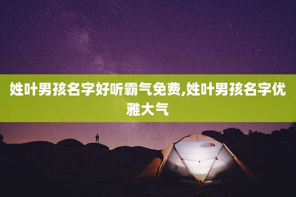 姓叶男孩名字好听霸气免费,姓叶男孩名字优雅大气