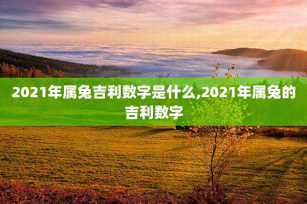 2021年属兔吉利数字是什么,2021年属兔的吉利数字