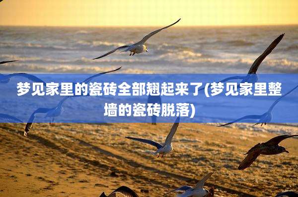 梦见家里的瓷砖全部翘起来了(梦见家里整墙的瓷砖脱落)