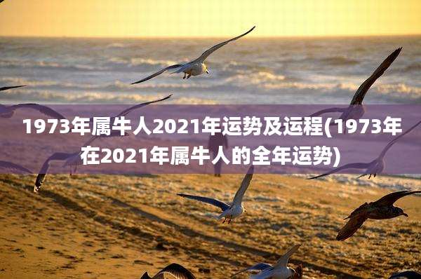 1973年属牛人2021年运势及运程(1973年在2021年属牛人的全年运势)