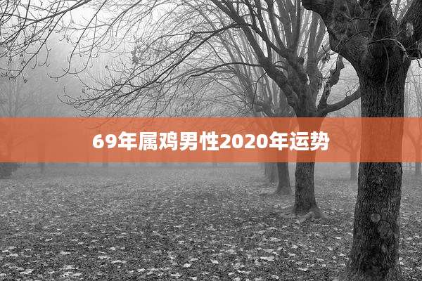 69年属鸡男性2020年运势