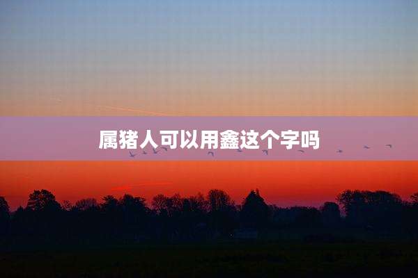 属猪人可以用鑫这个字吗