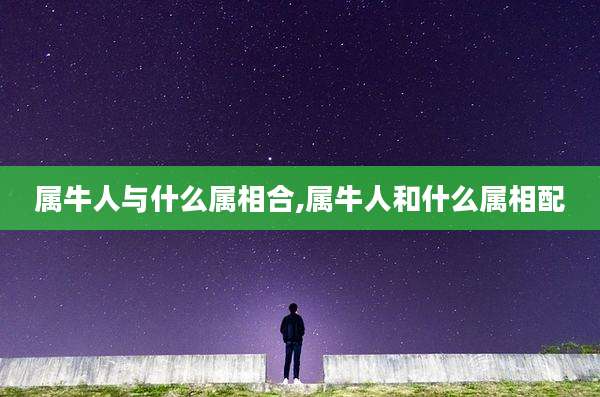 属牛人与什么属相合,属牛人和什么属相配
