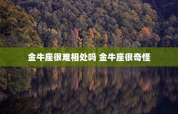 金牛座很难相处吗 金牛座很奇怪