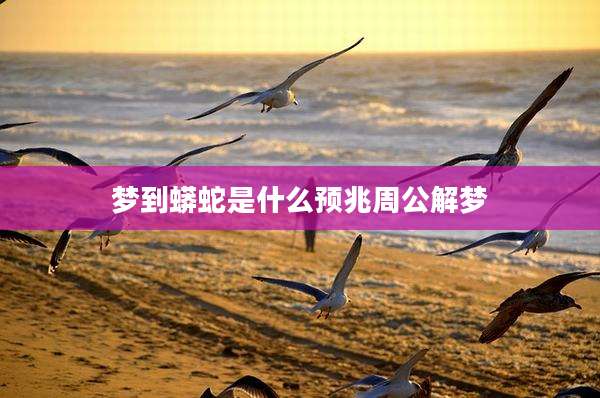 梦到蟒蛇是什么预兆周公解梦