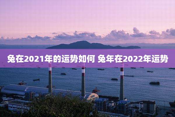 兔在2021年的运势如何 兔年在2022年运势
