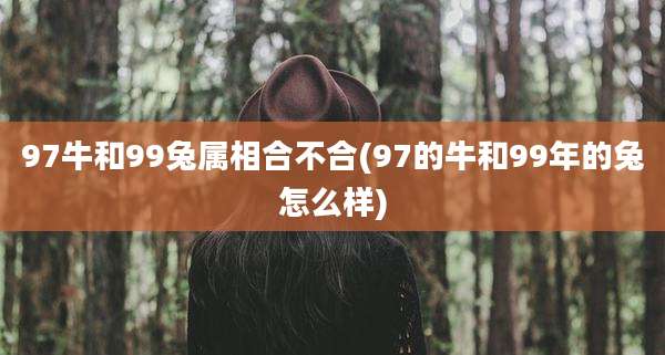 97牛和99兔属相合不合(97的牛和99年的兔怎么样)
