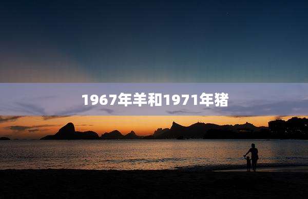 1967年羊和1971年猪