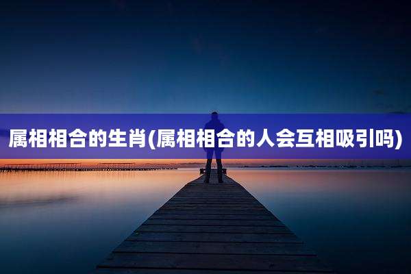 属相相合的生肖(属相相合的人会互相吸引吗)