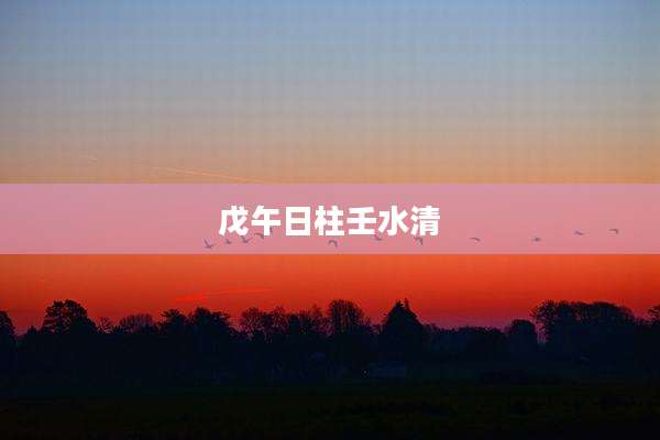 戊午日柱壬水清