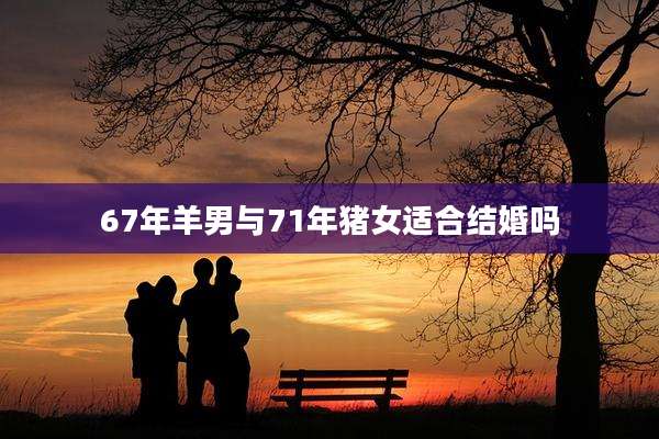 67年羊男与71年猪女适合结婚吗
