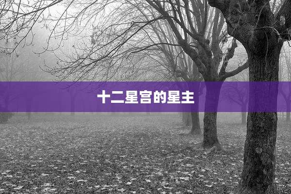 十二星宫的星主