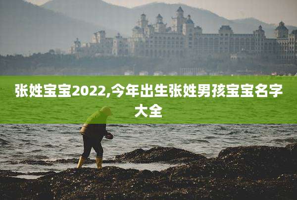 张姓宝宝2022,今年出生张姓男孩宝宝名字大全
