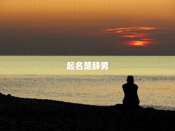 起名楚辞男