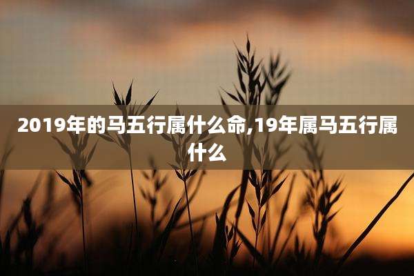 2019年的马五行属什么命,19年属马五行属什么