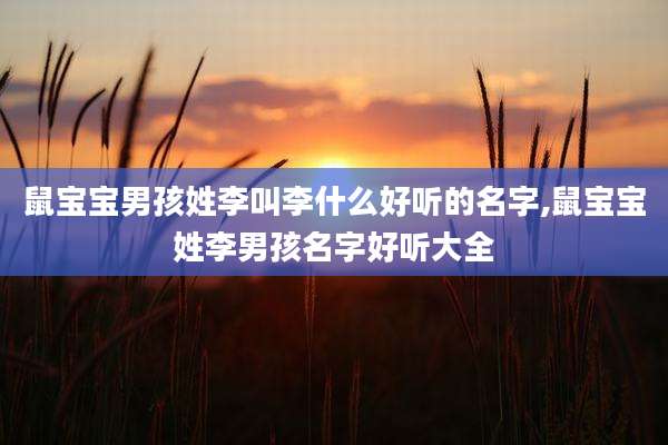 鼠宝宝男孩姓李叫李什么好听的名字,鼠宝宝姓李男孩名字好听大全