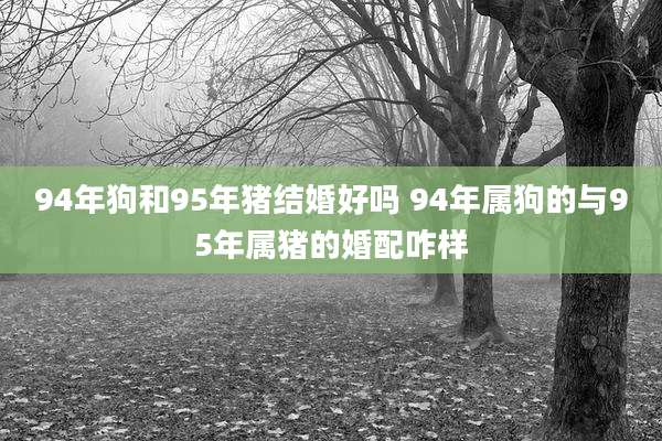 94年狗和95年猪结婚好吗 94年属狗的与95年属猪的婚配咋样