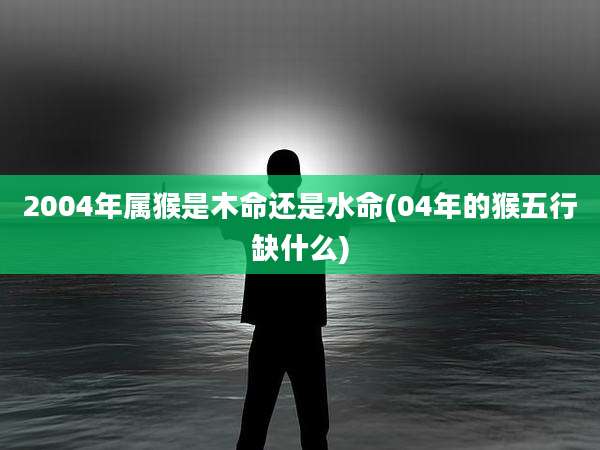 2004年属猴是木命还是水命(04年的猴五行缺什么)